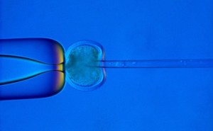 embrioni-umani-crioconservati-_embrioni-congelati_grembo-madre-615x380