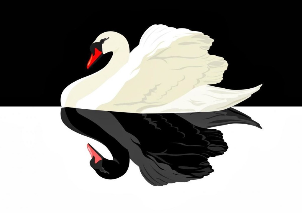 cigno